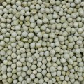 4,5kg Groch żółty całe ziarno zanęta wędkarska karp karaś leszcz
