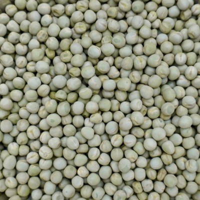 4,5kg Groch żółty całe ziarno zanęta wędkarska karp karaś leszcz