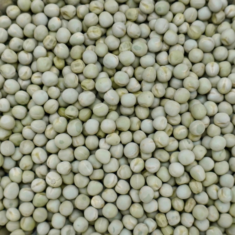 4,5kg Groch żółty całe ziarno zanęta wędkarska karp karaś leszcz