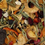 4,5kg Karma dla GRYZONI królika świnki owoce i warzywa KOKTAJL Champi