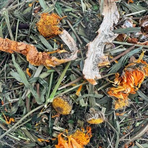 Zioła dla królika LETNIA ŁĄKA KOŁO LASU 1kg Karma dla świnki gryzoni Champi