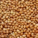Przynęta wędkarskia na karpia i karasia Bobik słodki ziarno 4,5kg 