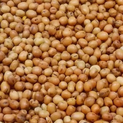 4,5kg Bobik słodki ziarno zanęta przynęta wędkarska karp karaś