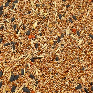 4,5kg Champi karma PREMIUM pokarm dla papugi falistej papug falistych