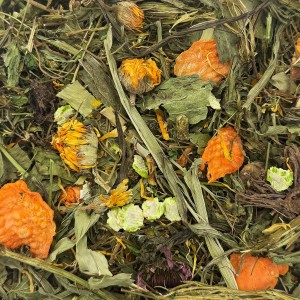 Karma dla ŚWINKI MORSKIEJ CODZIENNA zioła dla chomika gryzoni 500g Champi