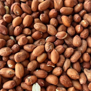 10kg Orzechy ziemne i arachidowe dla ptaków karma zimowa orzech ziemny