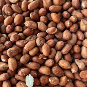 4,5kg Orzechy ziemne i arachidowe dla ptaków karma zimowa orzech ziemny