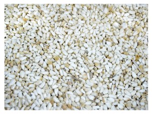 KARDI krokosz biały słonecznik 4,5kg Karma dla papug ziarno pokarm ptaków