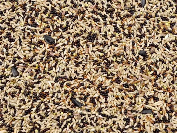 4,5kg Karma dla kanarka pełnoporcjowy pokarm dla kanarków i drobnej egzotyk