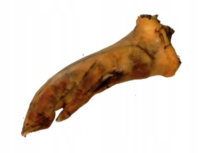 Racica stópka noga wieprzowa suszona naturalny gryzak dla psa 20cm