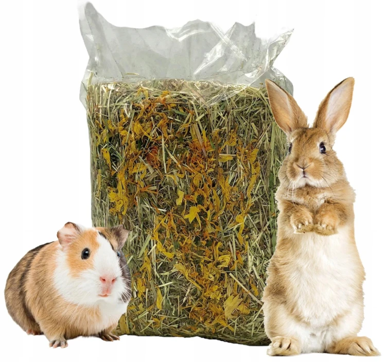 Siano LETNIA ŁĄKA naturalne sianko dla królika świnki gryzoni 450g Champi