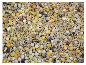 4,5kg PREMIUM Pokarm karma dla gołębi gołębia wysoka jakość pasza