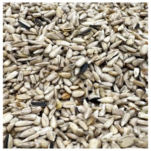 SŁONECZNIK ŁUSKANY 14kg 99% ziarno na zimę karma zimowa Champi do karmnika