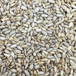 SŁONECZNIK ŁUSKANY 4,5kg 99% ziarno na zimę karma zimowa Champi do karmnika