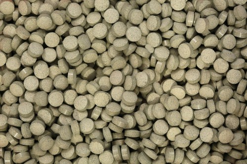 Witaminy tabletki DZIKA RÓŻA POKRZYWA SPIRULINA zdrowy pies 100g GLOPEX