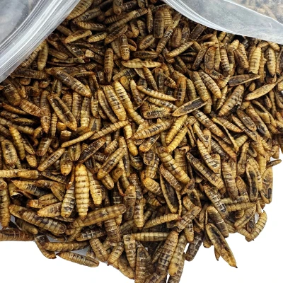 Robak dla gryzoni chomika świnki szczura jeża PUFFY cały suszony 250g