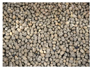 25kg Łubin wąskolistny słodki ziarno zanęta przynęta wędkarska karp karaś