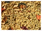4,5kg Makaron błyskawiczny STANDARD sucha karma dla psa instant