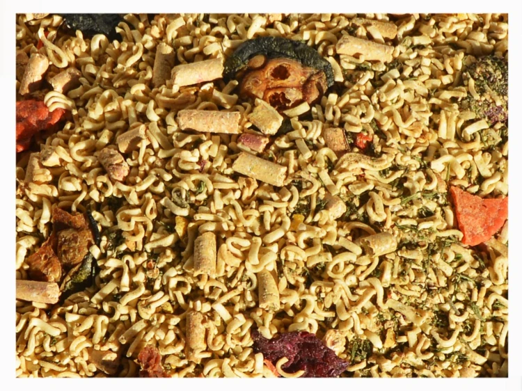 4,5kg Makaron błyskawiczny STANDARD sucha karma dla psa instant