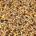 GRUBA Uniwersalna karma dla ptaków 20kg gołębi kur ziarno karma zimowa