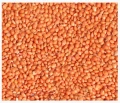 4,5kg Proso czerwone karma pokarm pasza dla ptaków papug falistych średnich