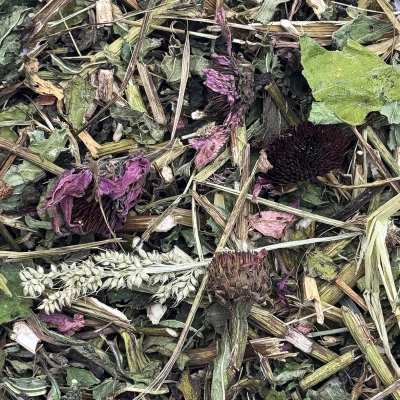 Jeżówka purpurowa 200g suszona dla gryzoni królika świnki zioła Champi