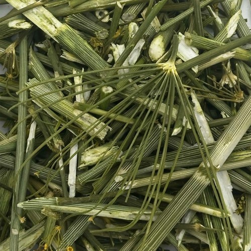 Koperek 1kg suszony łodyga kopru dla gryzoni królika świnki zioła Champi