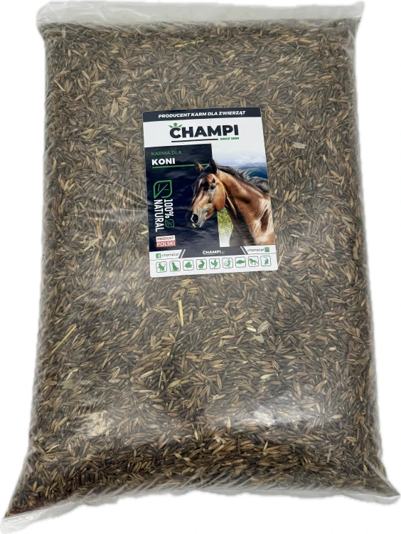 Owies czarny paszowy pasza dla koni gołębi kur królików kaczek 19kg Champi