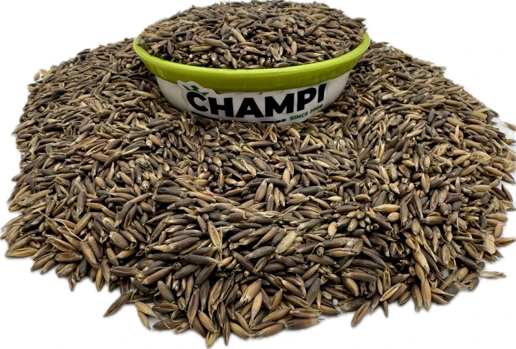 Owies czarny paszowy pasza dla koni gołębi kur królików kaczek 19kg Champi