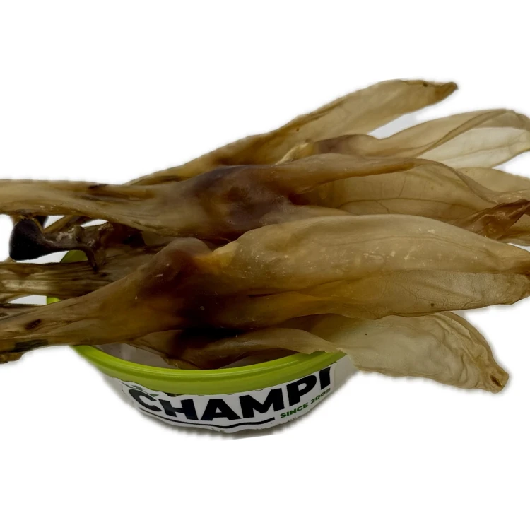 Przysmaki dla psa Ucho królicze Naturalne gryzaki dla alergików 500g Champi