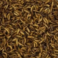 Biały robak suszony cały w melasie zanęta wędkarska METHOD FEEDER 250g