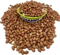 Orzechy ziemne 1kg karma zimowa dla ptaków karma dla papug średnich dużych