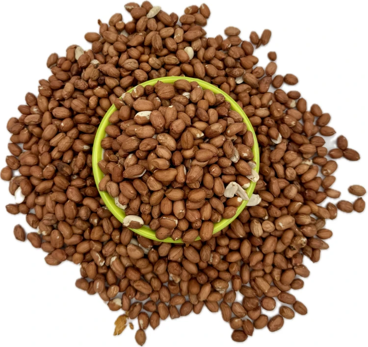 Orzechy ziemne 1kg karma zimowa dla ptaków karma dla papug średnich dużych