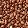 Orzechy ziemne 1kg karma zimowa dla ptaków karma dla papug średnich dużych