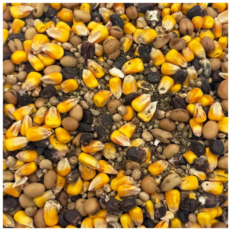 Kukurydza bobik łubin konopie MIX ZIAREN WĘDKARSKICH zanęta ziarno 19kg