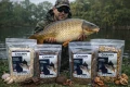 Kukurydza bobik łubin konopie MIX ZIAREN WĘDKARSKICH zanęta ziarno 19kg