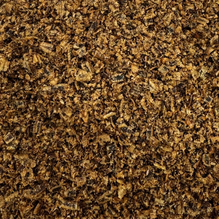 Robaki na ryby UMAMI gruba mączka robak Method Feeder 250 zanęta białko 40%