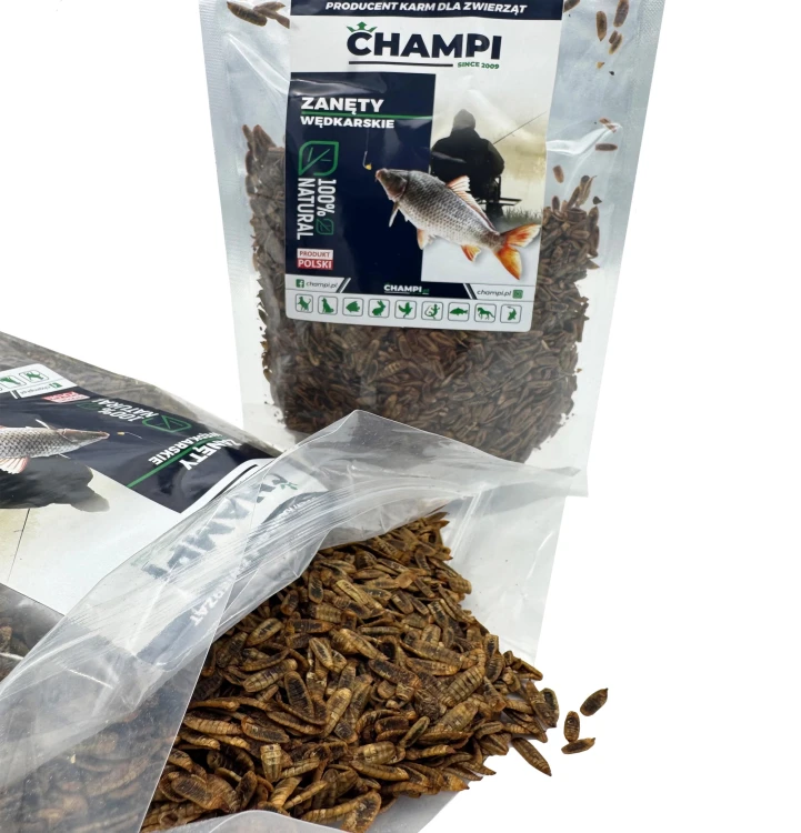 Robaki na ryby BABY cały suszony Method Feeder 1kg zanęta białko 40% Champi