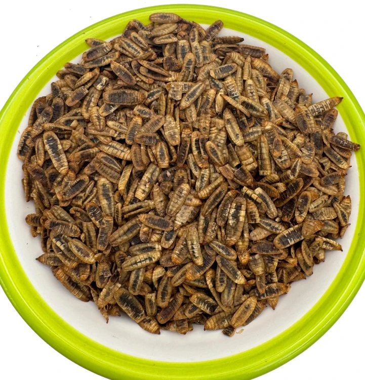 Robaki na ryby BABY cały suszony robak Method Feeder 250g zanęta Champi
