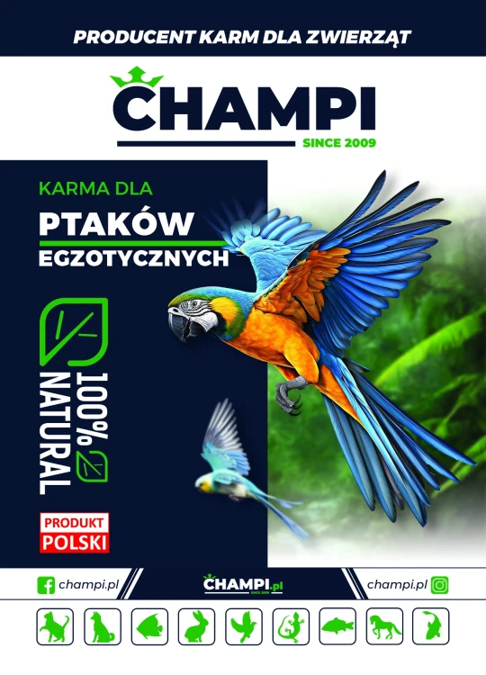 19kg Champi karma PREMIUM pokarm dla papugi falistej papug falistych