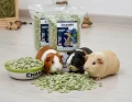 Groch Gnieciony 1kg płatek mikronizowany karma dla świnki gryzoni CHAMPI