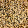 14 kg Uniwersalna karma dla ptaków ziarno pasza dla gołębi kur pawi kaczek