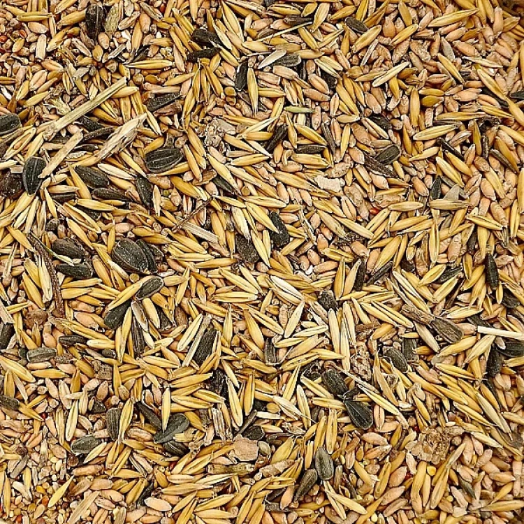 14 kg Uniwersalna karma dla ptaków ziarno pasza dla gołębi kur pawi kaczek