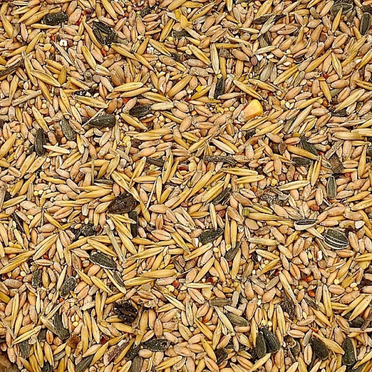 Karma dla ptaków zimujących Uniwersalna 4,5kg całoroczna ziarno Champi