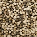 25kg Łubin wąskolistny słodki ziarno zanęta przynęta wędkarska karp karaś