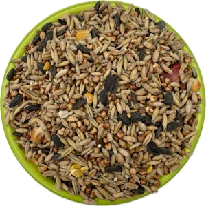 Karma dla ptaków Uniwersalna 4,5 całoroczna ziarno karmnik dla ptaków Champ