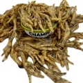 Kurze łapki suszone Naturalne przysmaki dla psa gryzak kolagen 1kg Champi