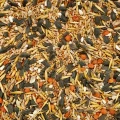 Karma dla papug falistych 19kg Drobnej Egzotyki zeberek amadyn Champi