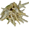 Kurze łapki białe Naturalne przysmaki dla psa gryzak kolagen 1kg Champi