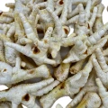 Kurze łapki białe Naturalne przysmaki dla psa gryzak kolagen 1kg Champi